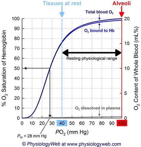 The haemoglobin-oxygen (Hb-O 2) dissociation curve is a sigmoid curve which relates the partial pressure of oxygen dissolved in the blood to the percentage saturation of haemoglobin.